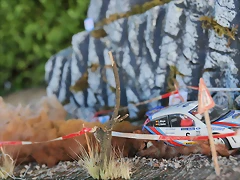DSC_1365 DSC_1365