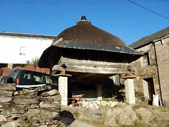 DSCN8589
