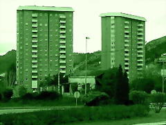66-CAM00517