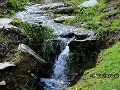 22, arroyo cristalino3, marca