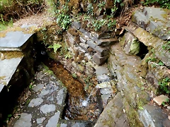 DSCN4063 DSCN4063