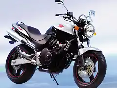 honda_hornet_250