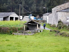 DSCN3023 DSCN3023