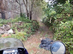 DSCN6820 DSCN6820