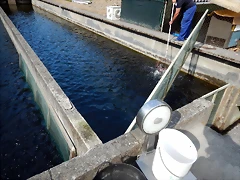 DSCN7171 DSCN7171