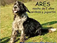 ARES Asturias