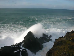 DSCN7584 DSCN7584
