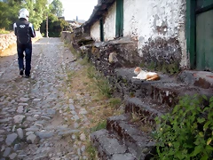 DSCN6039 DSCN6039