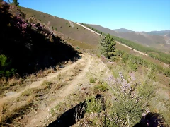 DSCN3880