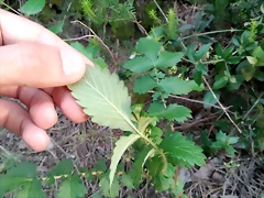 IMG_20200518_203629