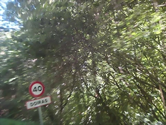 IMG_1038 IMG_1038
