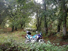 DSCN5256 DSCN5256