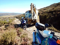 DSCN1541 DSCN1541
