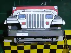 Jeep (30)