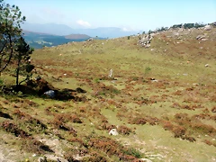 DSCN0585 DSCN0585