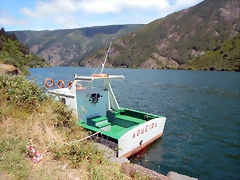 DSCN1454 DSCN1454