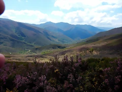 DSCN9468 DSCN9468