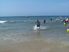 100_1541_2448x3264 100_1541_2448x3264