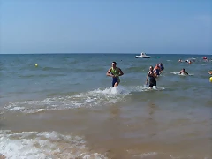 100_1539_2448x3264 100_1539_2448x3264