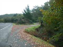 DSCN5724