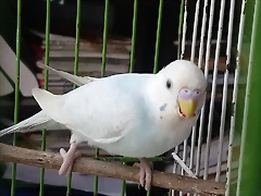 IMG-20190317-WA0002