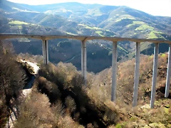 DSCN2904