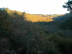 DSCN6674 DSCN6674