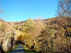DSCN9508 DSCN9508
