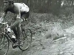 De Vlaeminck3