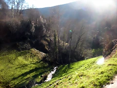 DSCN2981 DSCN2981