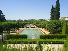 DSC02312