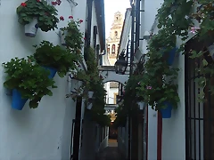 DSC02375