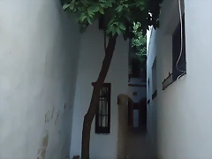 DSC02376