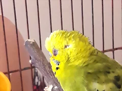 20170815_130002 20170815_130002