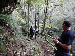 DSCN8760 DSCN8760