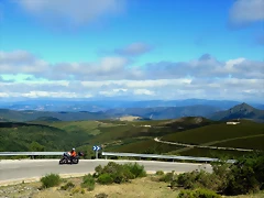 IMG_8001 IMG_8001