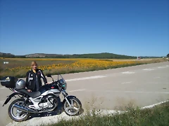 SAM_1302