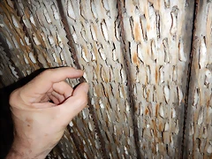 DSCN3583 DSCN3583