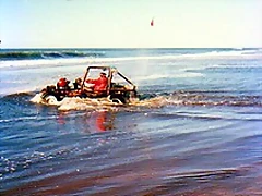 img019 img019