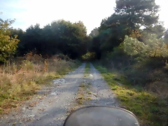 DSCN0517 DSCN0517