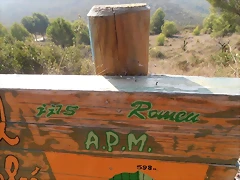 PA020067 PA020067