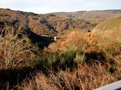 DSCN0073