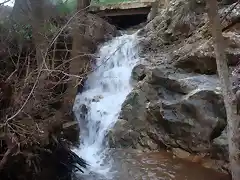 arroyo en la estrella4