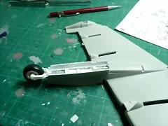 P1090259 P1090259