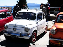 CAS_3987 CAS_3987
