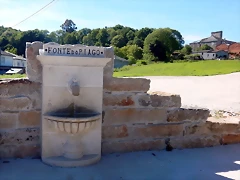 DSCN2351 DSCN2351