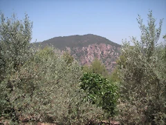 PICT0049