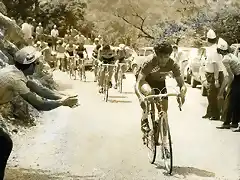 Fuente-Giro-Merckx