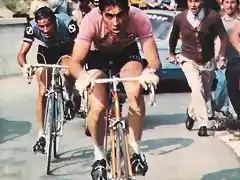 MERCKX,BATTGLIN,GIRO 1973,ETA,MONTE CARPEGNA