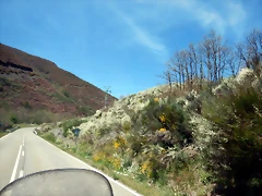 DSCN0998